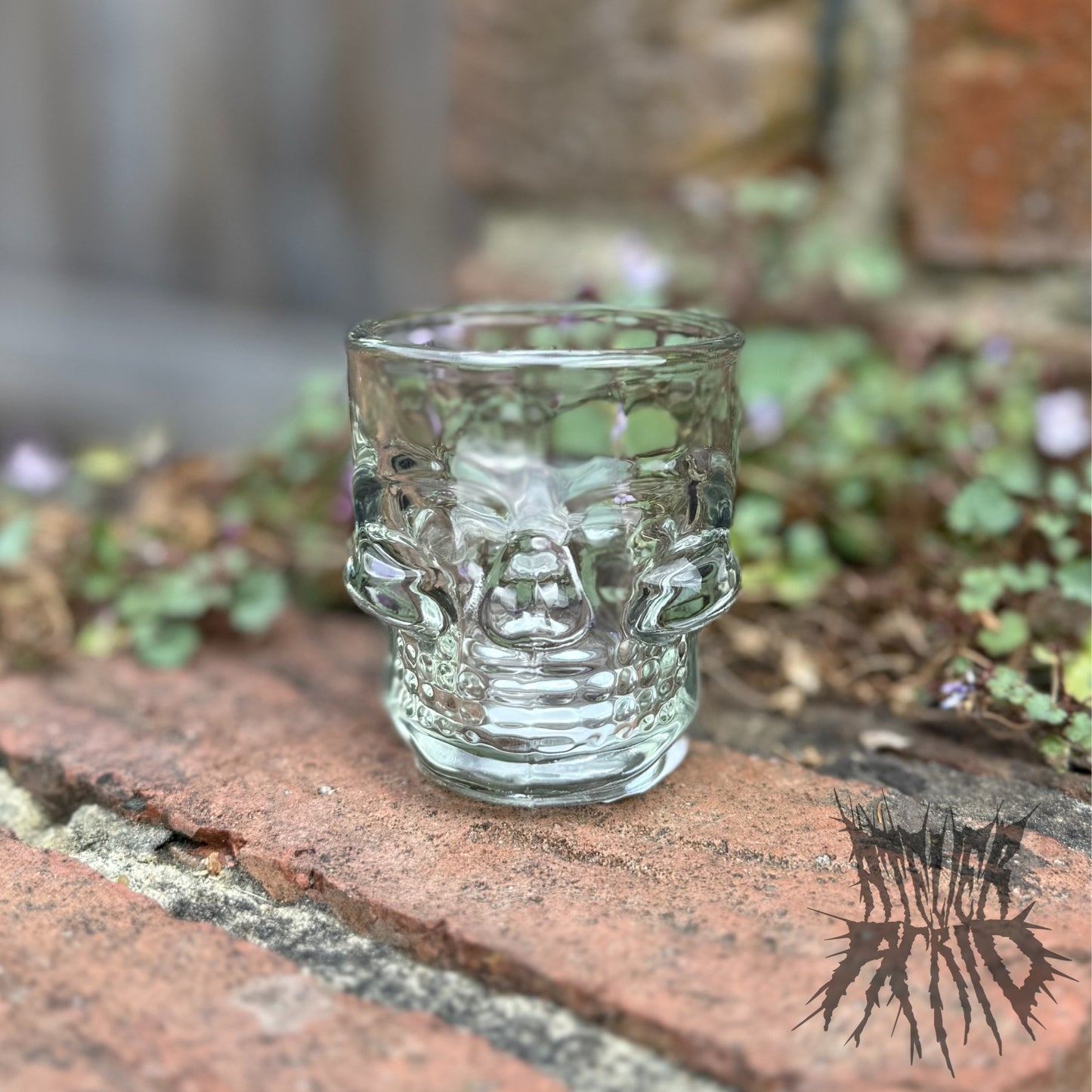 Set of 2 Skulls and Roses Shot Glasses