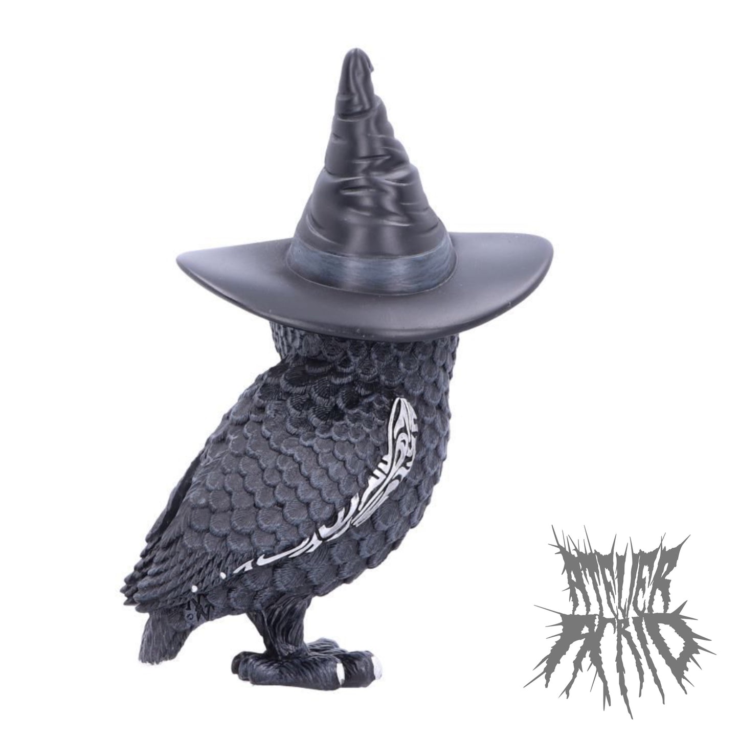 Cult Cuties - Owlocen 13.5cm