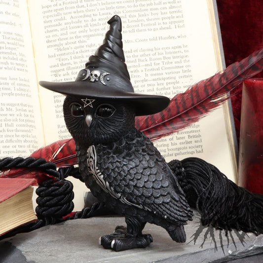 Cult Cuties - Owlocen 13.5cm