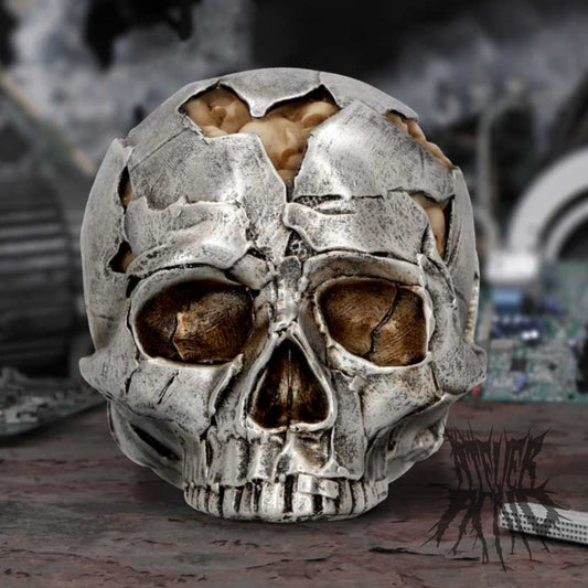 Fracture Skull Ornament 11cm