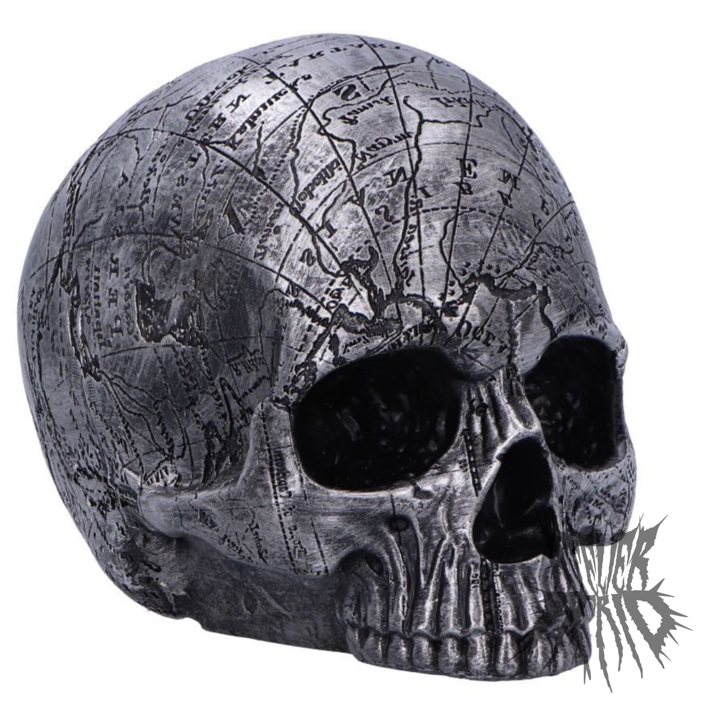 Mind Map Skull 15cm