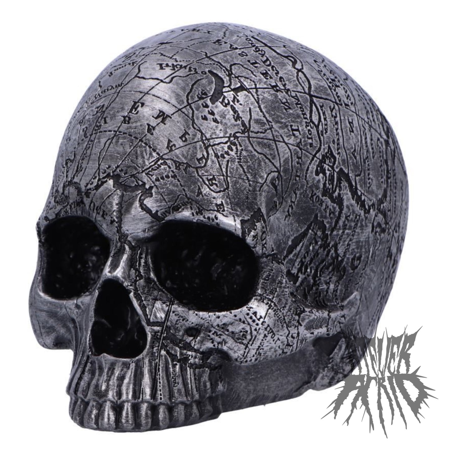 Mind Map Skull 15cm
