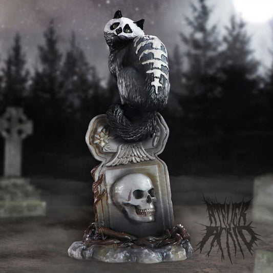 Skull Cat by Martin Hanford 15cm