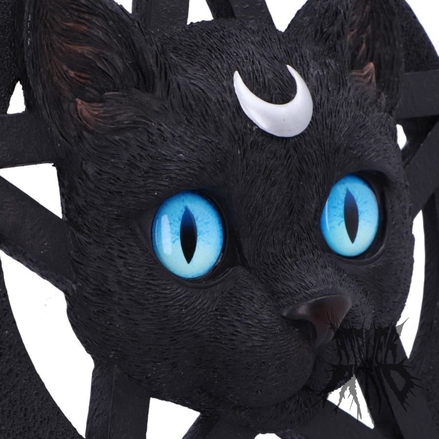 Feline Worship Cat Pentagram Wall Plaque 25.5cm