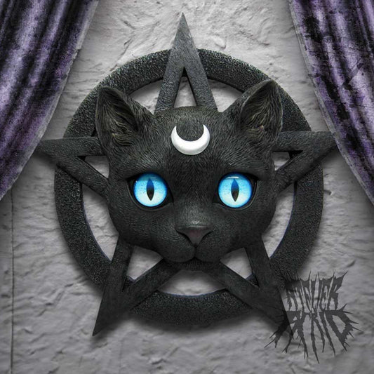 Feline Worship Cat Pentagram Wall Plaque 25.5cm