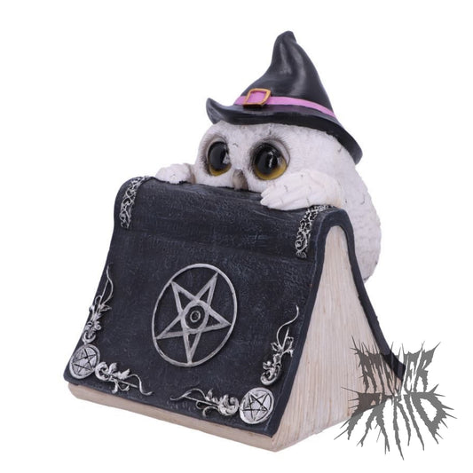 Owl's Spell 15cm by Nemesis Now