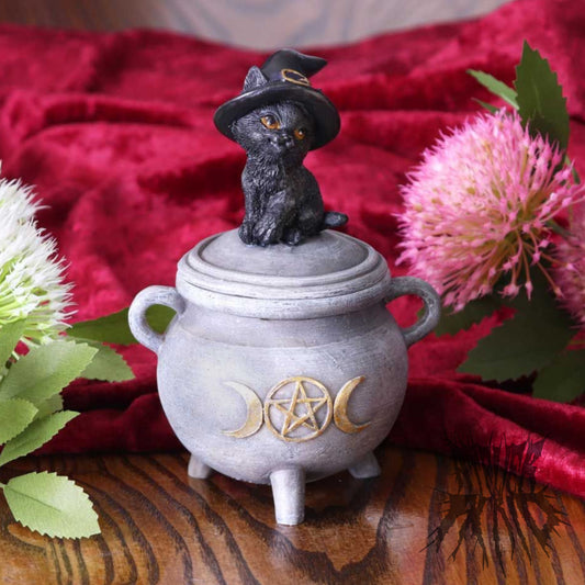 Kitty's Brew Box 14cm