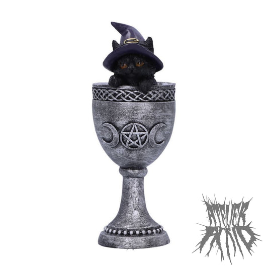 Coven Cup 15.7cm