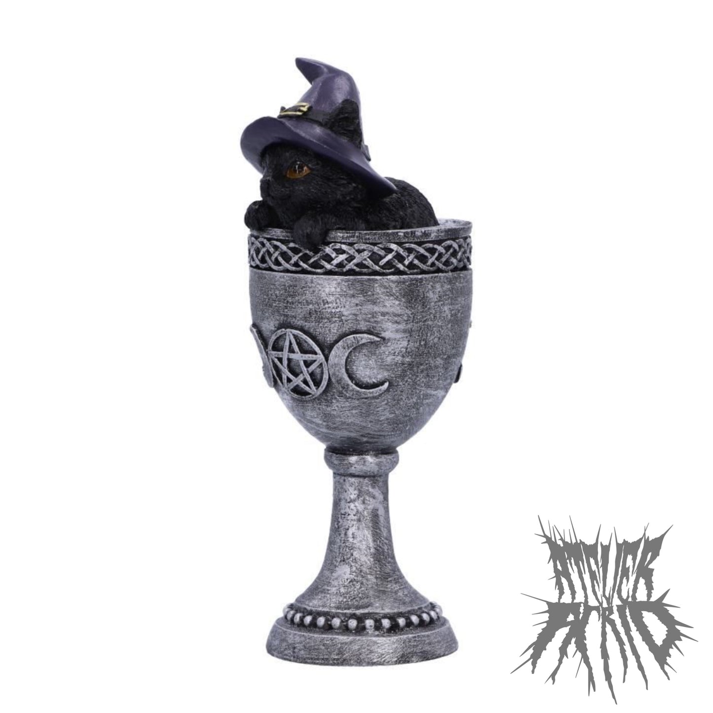 Coven Cup 15.7cm