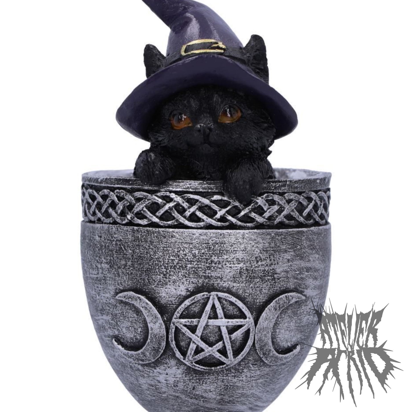 Coven Cup 15.7cm