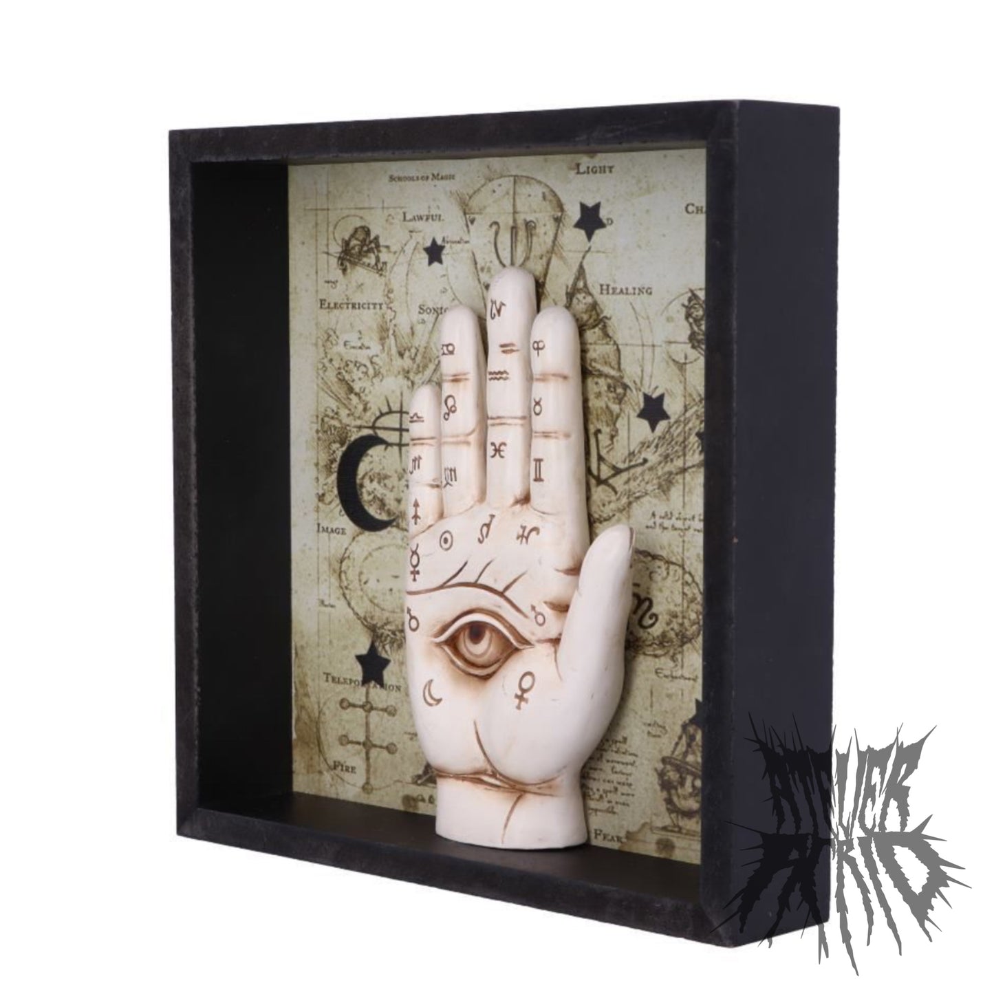 Palmistry Companion 20.2cm