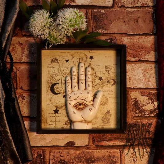 Palmistry Companion 20.2cm