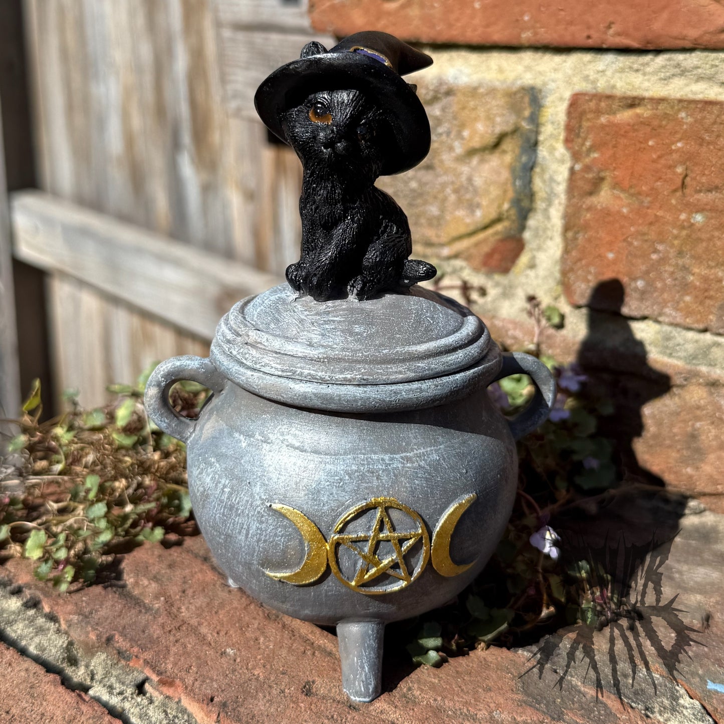 Kitty's Brew Box 14cm