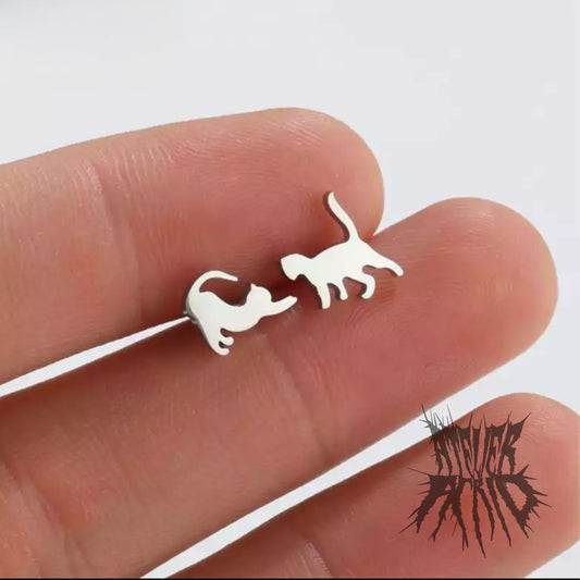 The Feline Studs -27