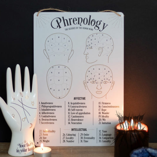 The Phrenology Sign - Metal wall hanging