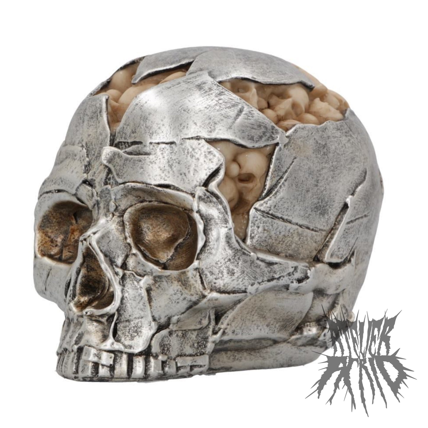 Fracture Skull Ornament 11cm