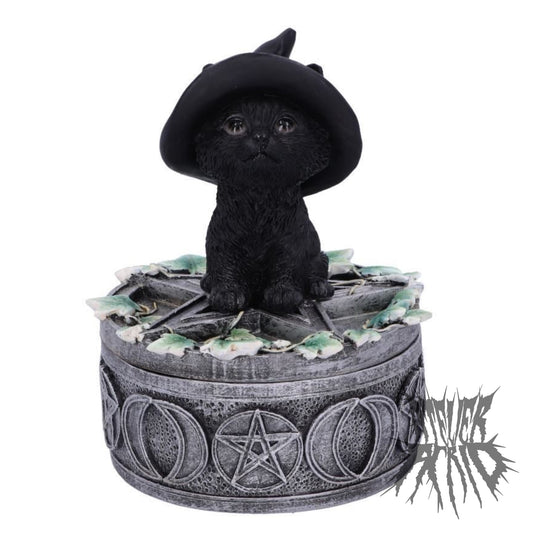 Ivy Familiar Box 15cm