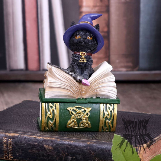 Binx Box 11cm