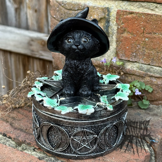 Ivy Familiar Box 15cm