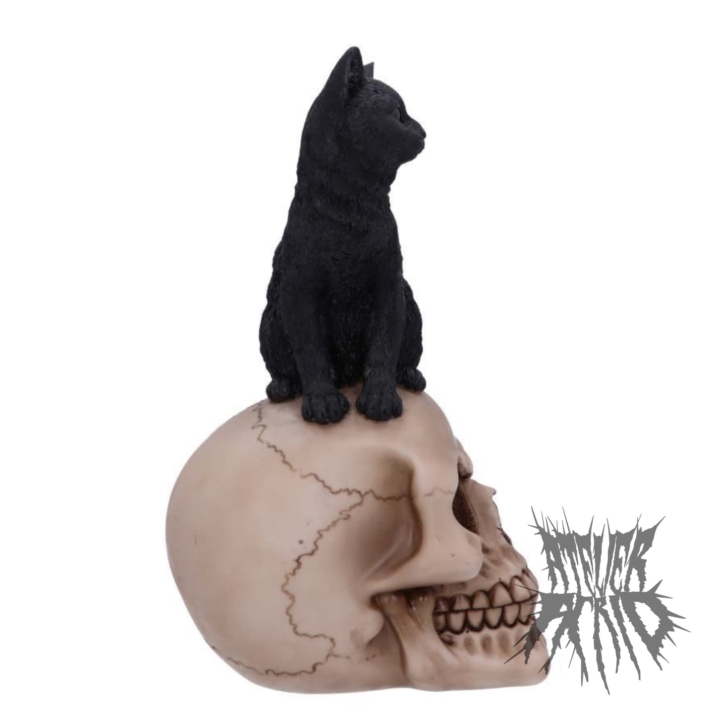 Familiar Fate 24.3cm