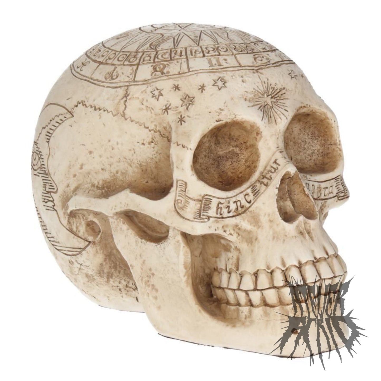Astrological Skull 20cm by Nemesis Now