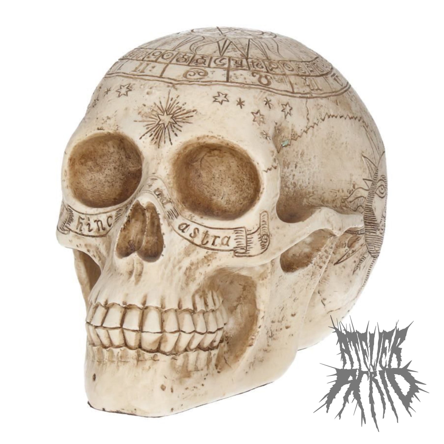 Astrological Skull 20cm by Nemesis Now