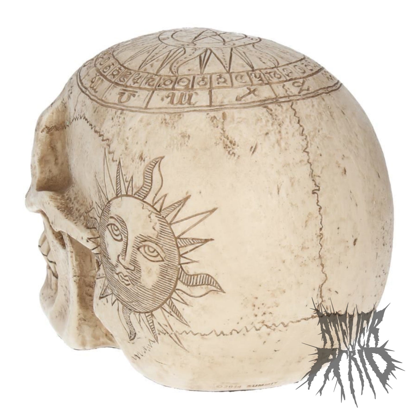 Astrological Skull 20cm by Nemesis Now