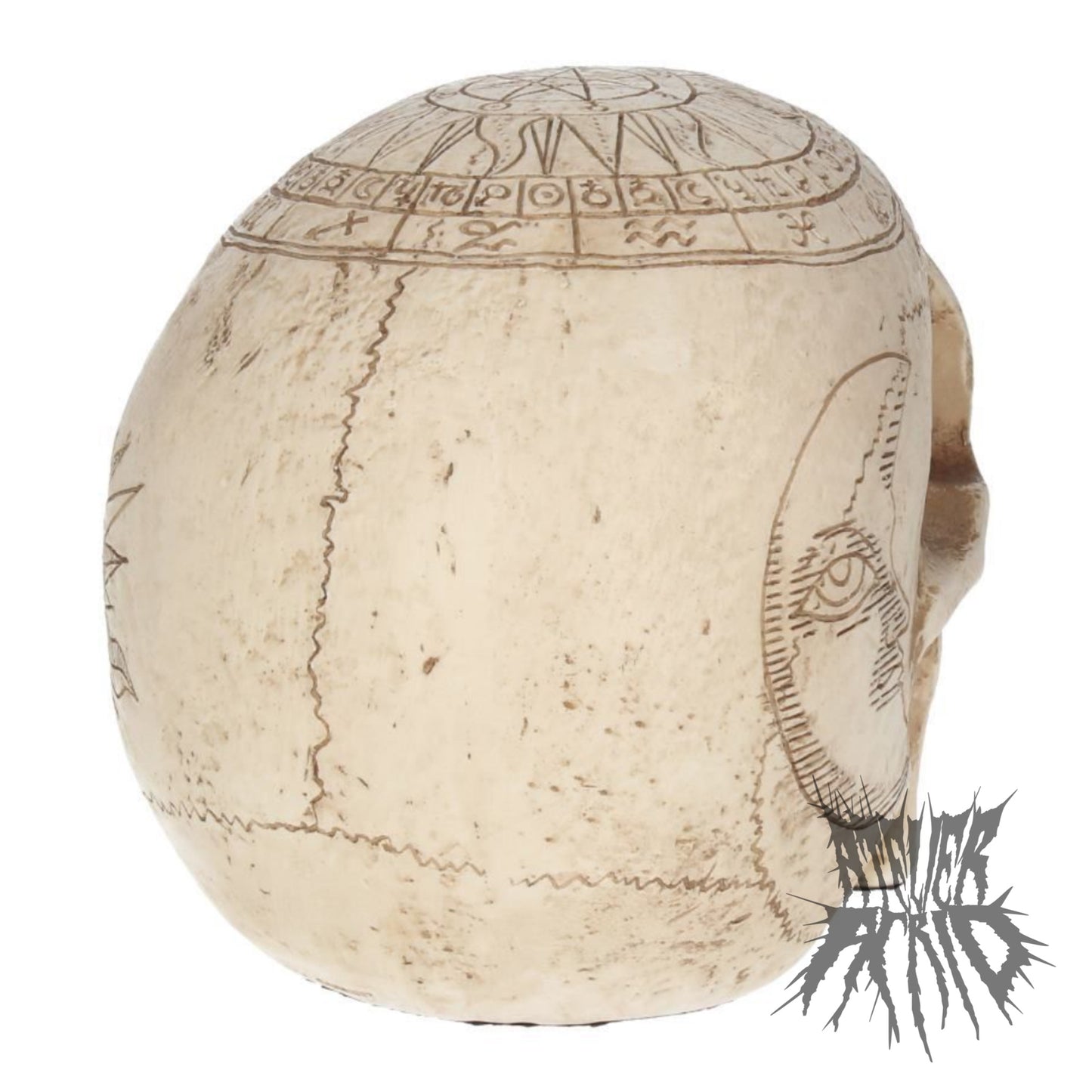 Astrological Skull 20cm by Nemesis Now