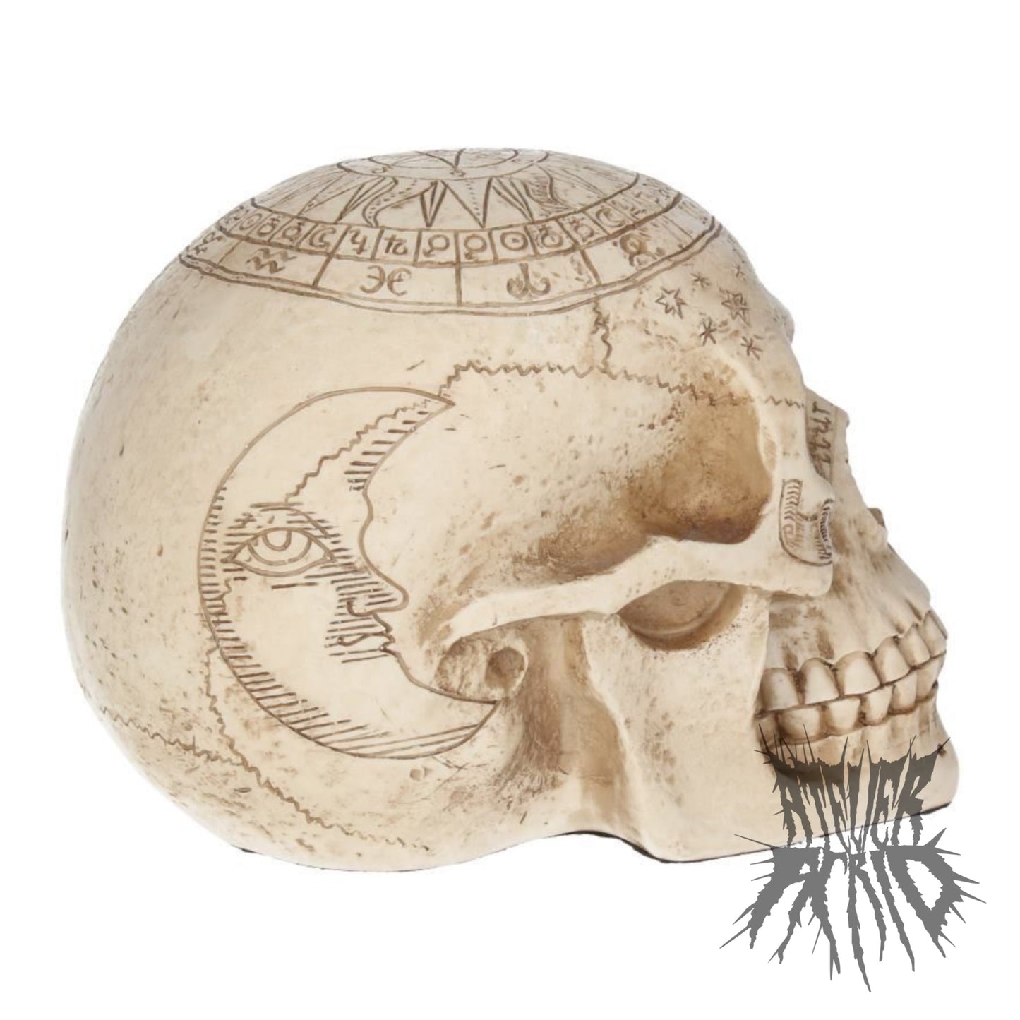 Astrological Skull 20cm by Nemesis Now