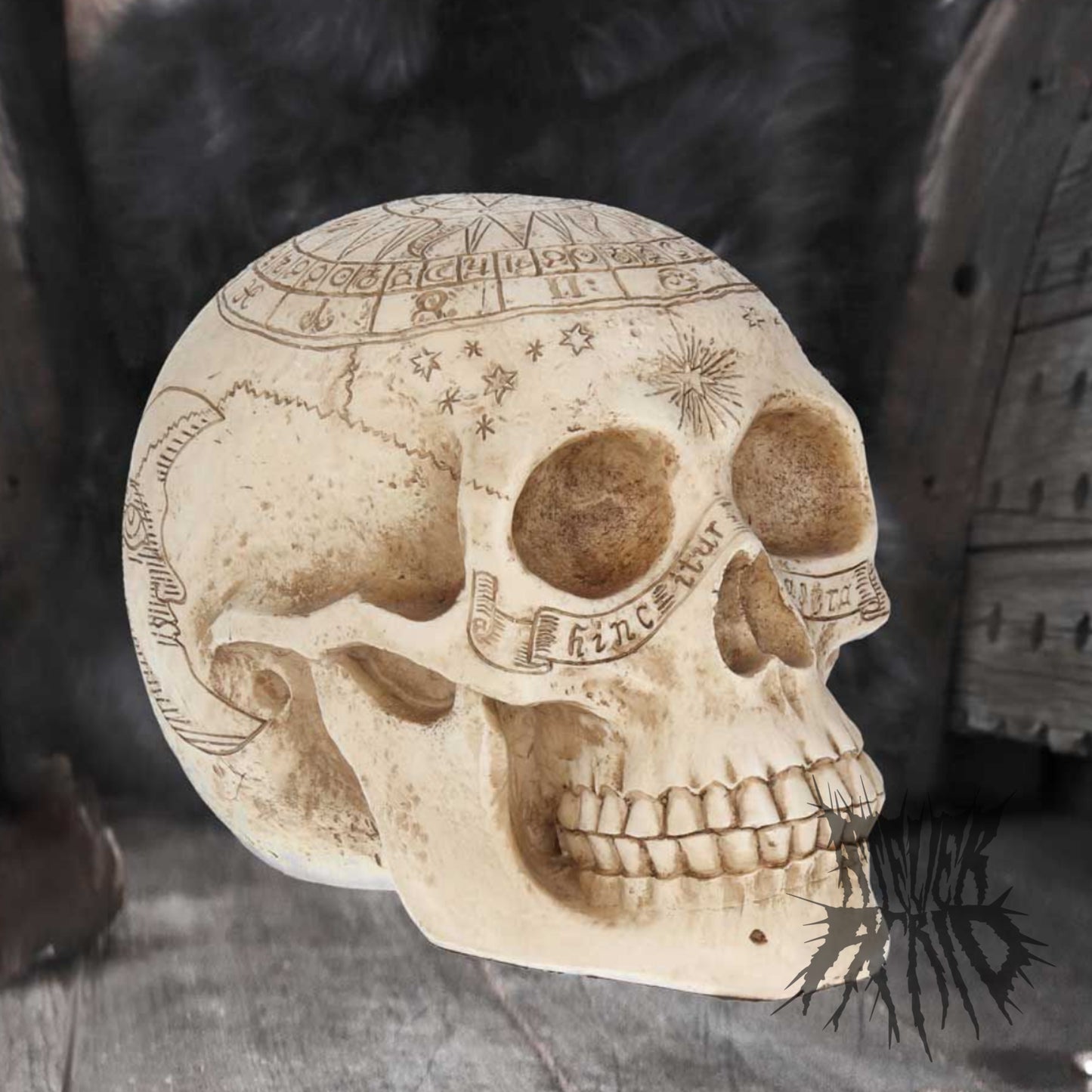 Astrological Skull 20cm by Nemesis Now