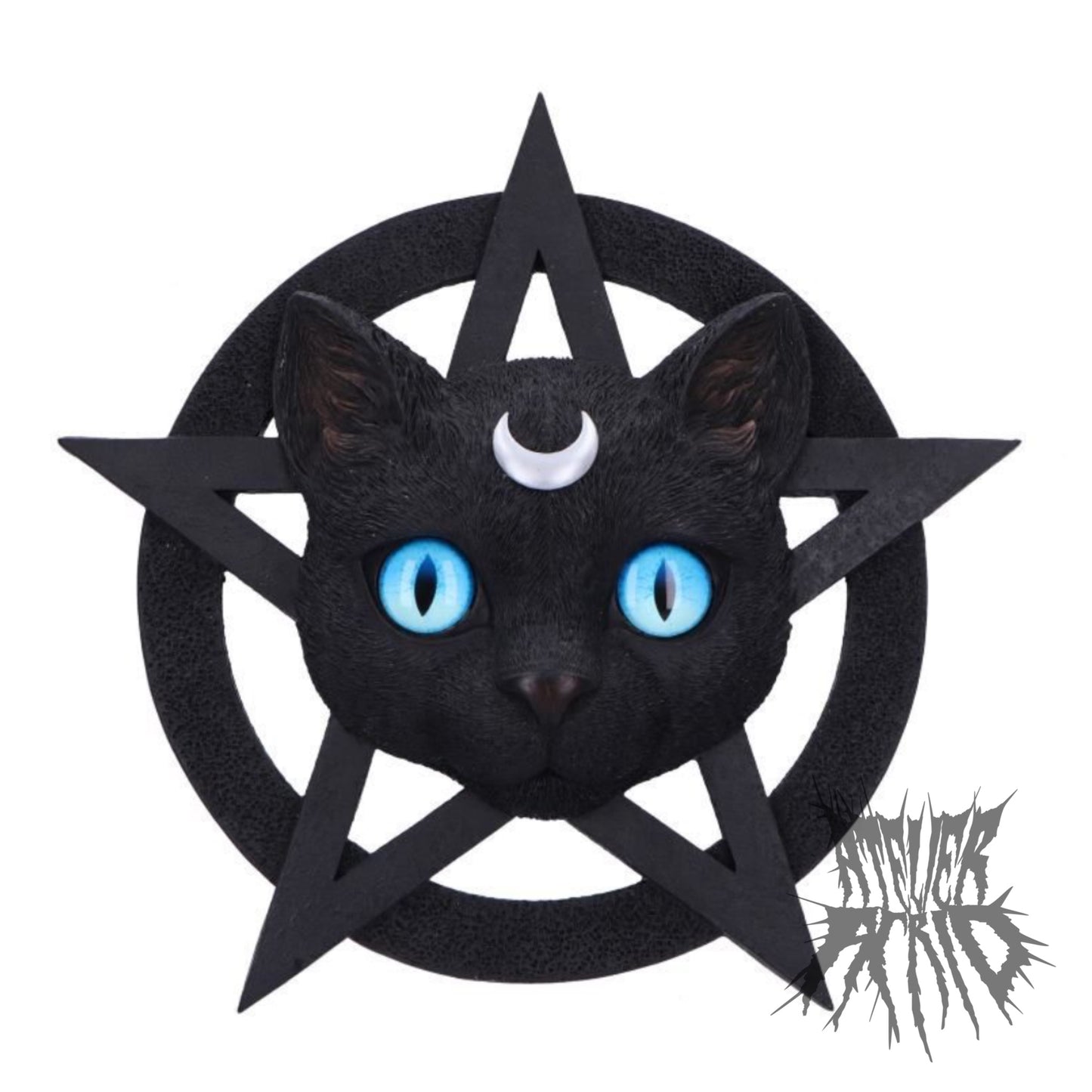Feline Worship Cat Pentagram Wall Plaque 25.5cm