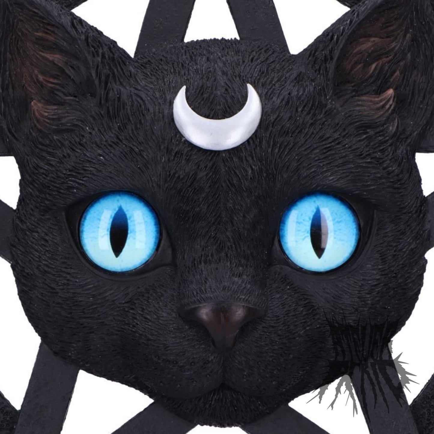 Feline Worship Cat Pentagram Wall Plaque 25.5cm