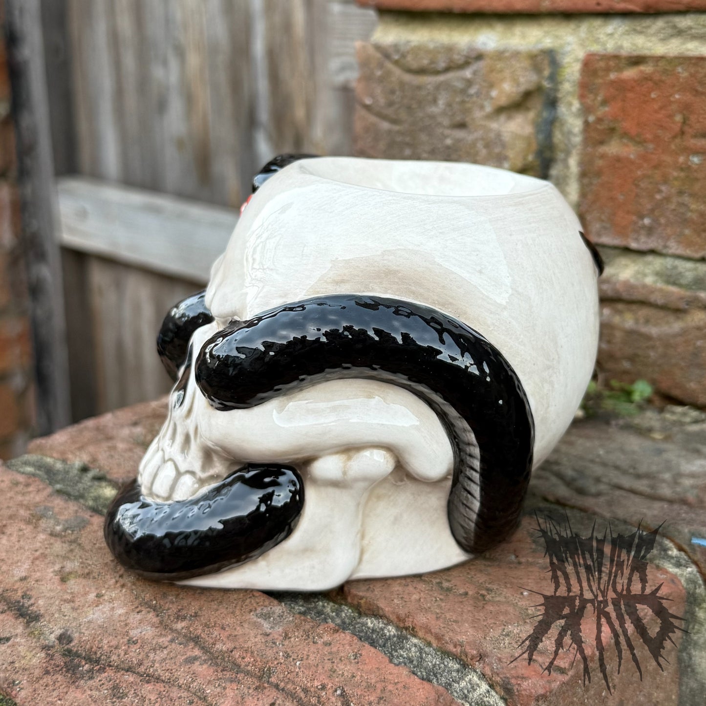 Skull with Coiled Snake Gothic Ceramic Oil Burner