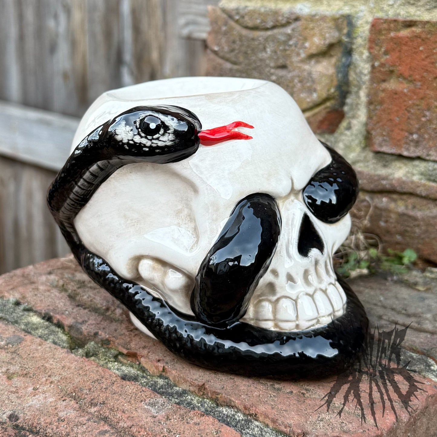 Skull with Coiled Snake Gothic Ceramic Oil Burner